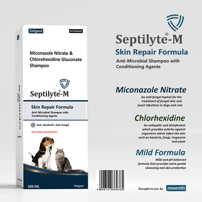 Septilyte ® Antifungal Shampoo + Botanical Skin Treatment Spray 200 ml COMBO