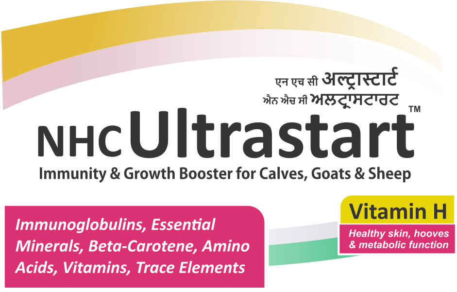 NHC ULTRASTART Calf Growth Tonic – Rapid Growth, Immunity & Development Booster for Calves, Goats & Sheep