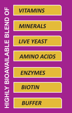 Fertistrong Pre – Advanced Dairy Premix for Fertility, Milk Yield & Rumen Health