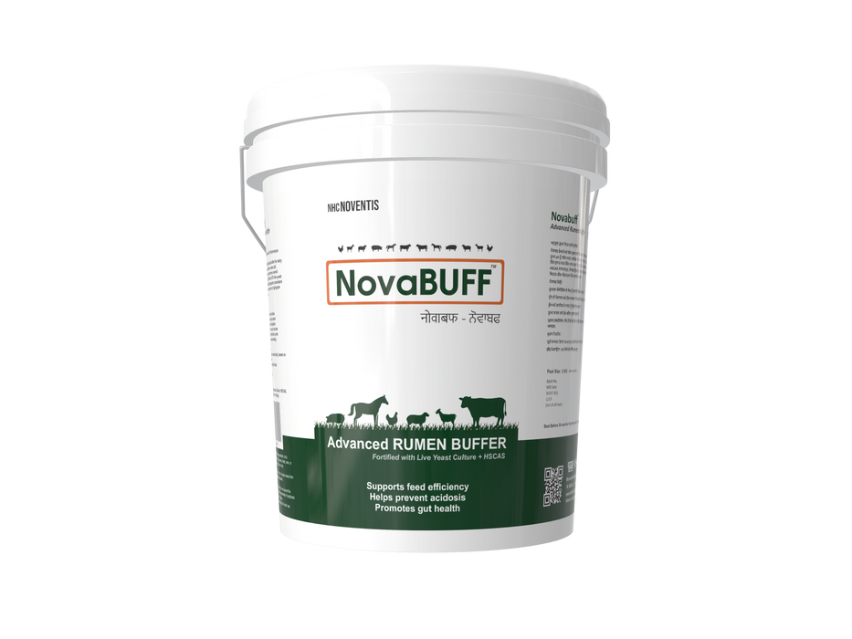Novabuff – Advanced Rumen Buffer with Live Yeast & HSCAS for Acidosis Prevention & Feed Efficiency