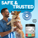 Noventis PETCENTRAL Energy & Weight Gainer for Dogs with high-calorie content, featuring digestive enzymes, and chicken flavor, highly palatable