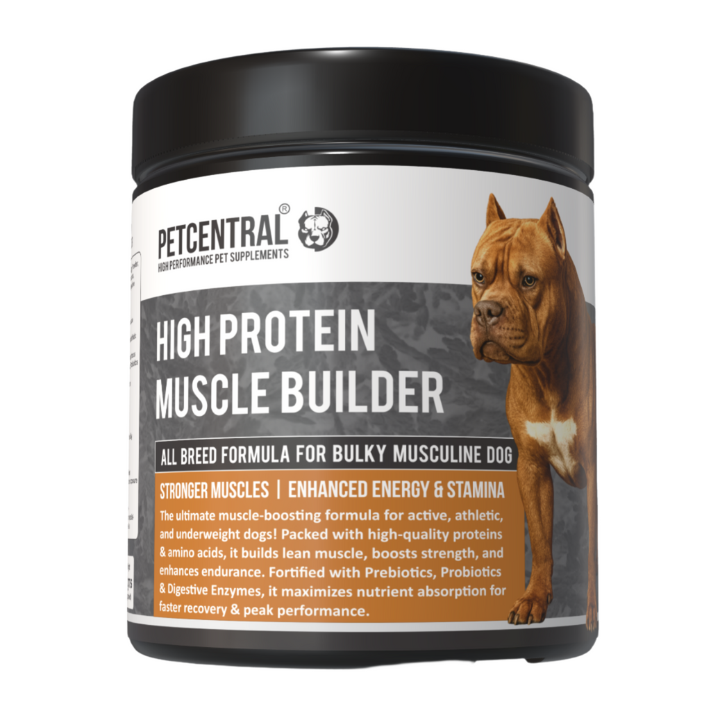 Gain Weight Protein For Dogs To Build Muscle Muscle Building