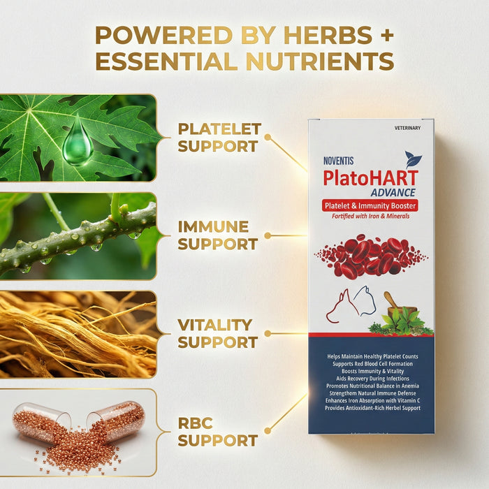 PlatoHART Advance Syrup for Dogs & Cats – Boosts Platelets, RBC & Immunity – Iron, Papaya Leaf, Giloy, B12 – Pet Recovery Supplement – 200ml