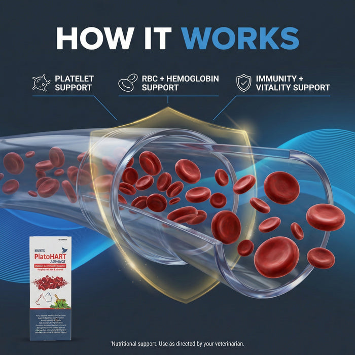 PlatoHART Advance Syrup for Dogs & Cats – Boosts Platelets, RBC & Immunity – Iron, Papaya Leaf, Giloy, B12 – Pet Recovery Supplement – 200ml