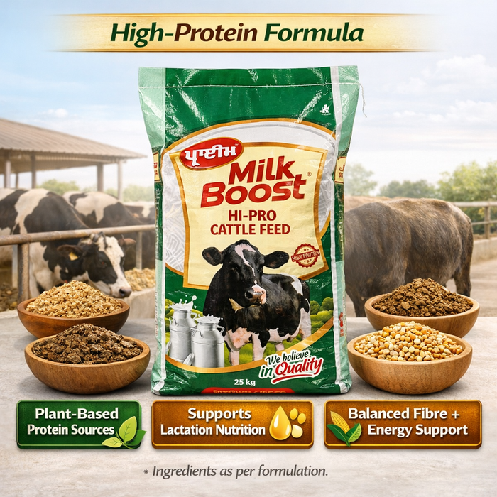 PRIME® MILK BOOST HI-PRO Cattle Feed 50 kg | High-Protein Compound Feed for Lactating Cows & Buffaloes | Supports Milk Yield, Fat & SNF  | With Yeast & Biotin