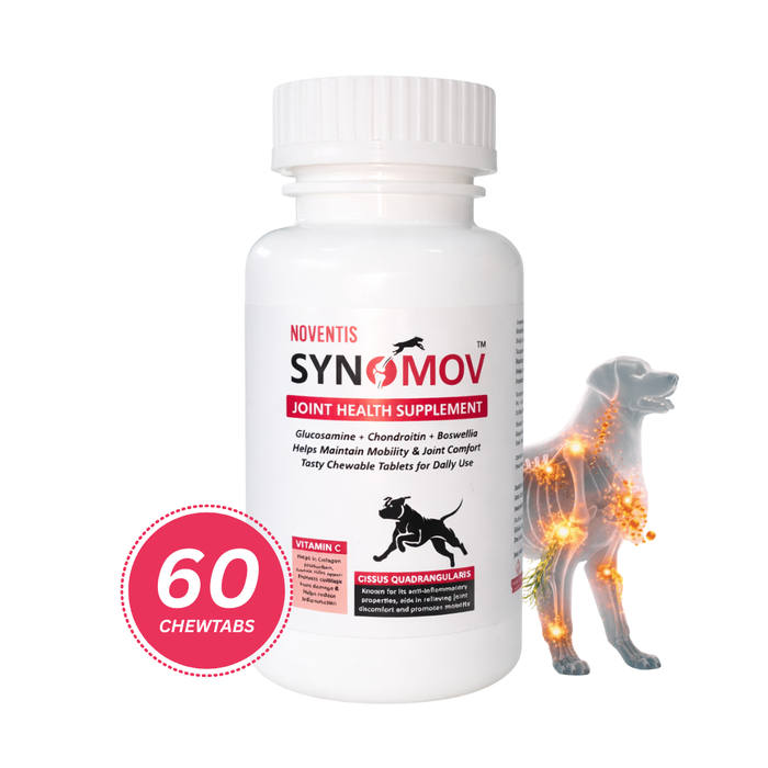 Synomov Daily Joint Support ChewTabs for Dogs & Cats – Glucosamine, Chondroitin, Cissus & Boswellia – Promotes Mobility, Eases Joint Stiffness, Supports Recovery – 60 Tabs