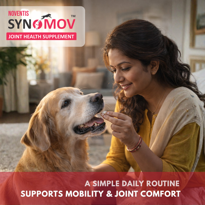 Synomov Daily Joint Support ChewTabs for Dogs & Cats – Glucosamine, Chondroitin, Cissus & Boswellia – Promotes Mobility, Eases Joint Stiffness, Supports Recovery – 60 Tabs
