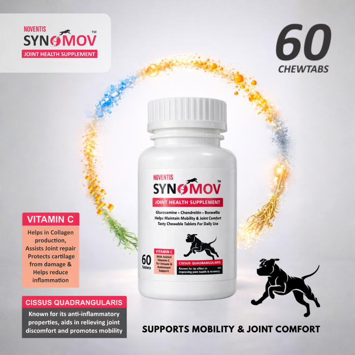 Synomov Daily Joint Support ChewTabs for Dogs & Cats – Glucosamine, Chondroitin, Cissus & Boswellia – Promotes Mobility, Eases Joint Stiffness, Supports Recovery – 60 Tabs
