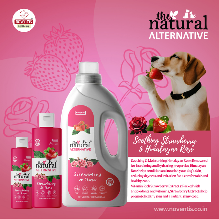 The Natural Alternative® Strawberry & Rose Herbal Dog Shampoo