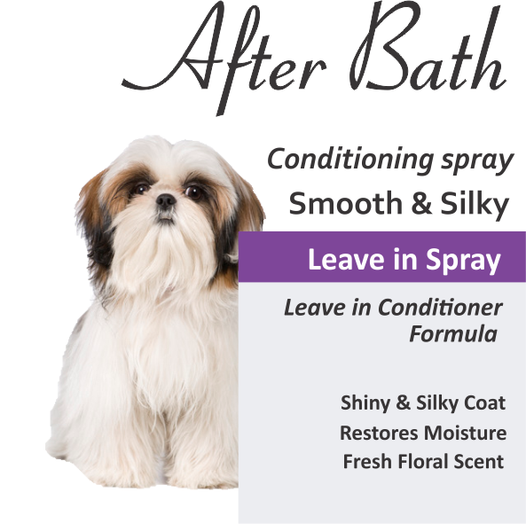 Shih Tzu Dog Coat Shine Spray Best Dog Shampoo For Healthy Skin