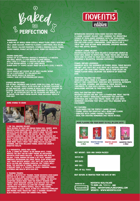 Noventis 100% Vegetarian Oven Baked Biscuits for Dogs