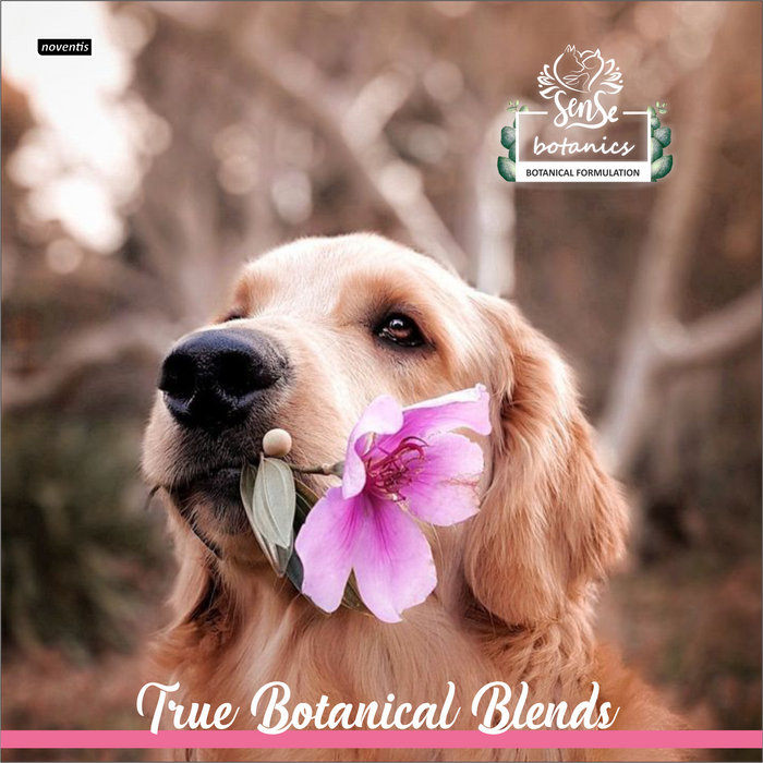 Sense Botanics™ Himalayan Rose & Aloe Shampoo