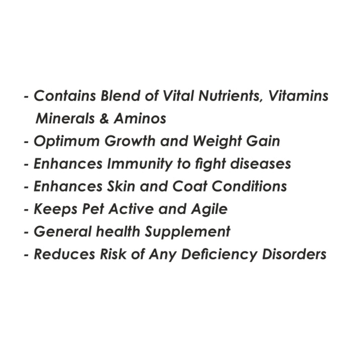 Vitahart Vitamin & Amino Acid Syrup for Pets – Immunity & Growth Support for Puppies and Dogs