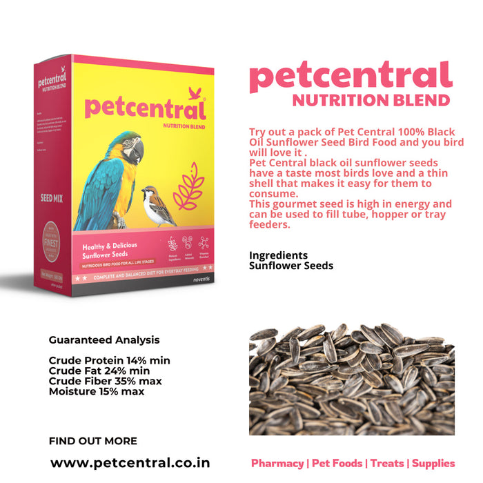Petcentral Sunflower Seeds for Birds & Parrots